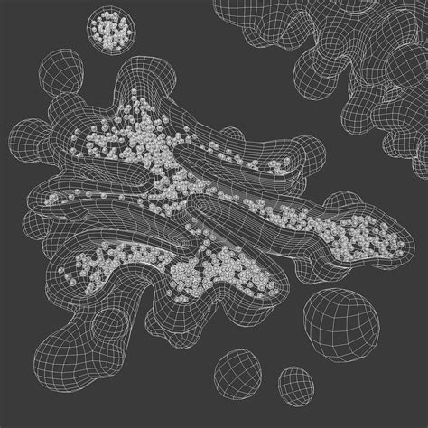 3d model golgi apparatus