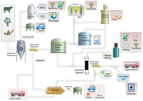 Trends in Biological Valorization of Waste-Derived Biomass | Encyclopedia MDPI