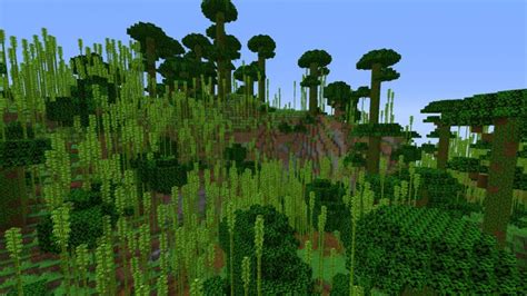 Top 5 Rarest Biomes In Minecraft | Minecraft Guide