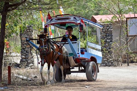 15+ Alat Transportasi Tradisional di Indonesia Darat dan Laut