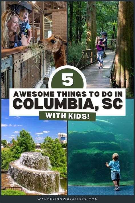 5 Awesome Things to do with Kids in Columbia, SC! | South carolina ...