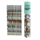 Natural History Museum Dinosaur Colouring Pencils