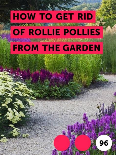 How to Get Rid of Rollie Pollies From the Garden | Plants, Garden tools, Gardening tools names