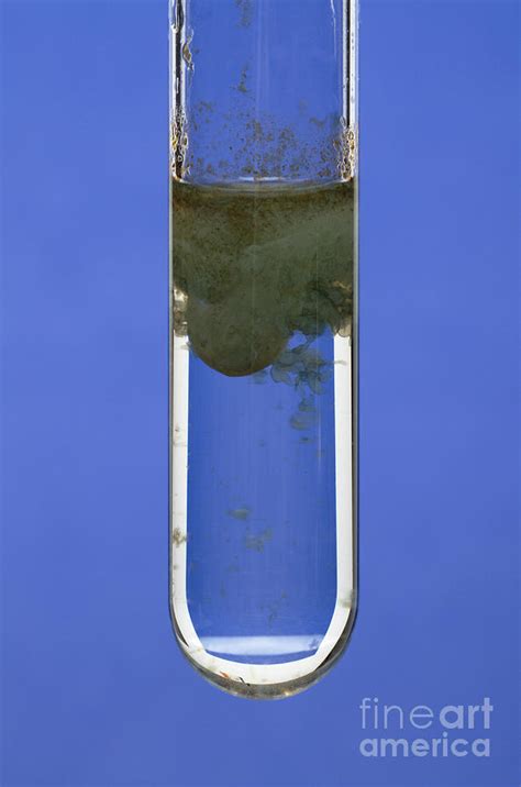 Iron II Hydroxide Precipitate Photograph by GIPhotoStock - Fine Art America