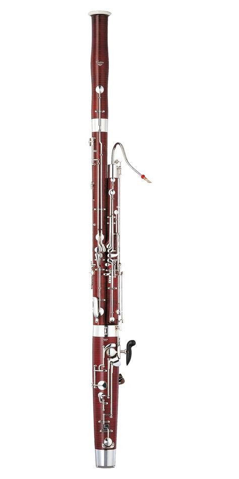 Classical Kids Music Lessons: Bassoon Basics | Classical MPR