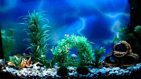 Aquarium Wallpaper Hd 1920X1080