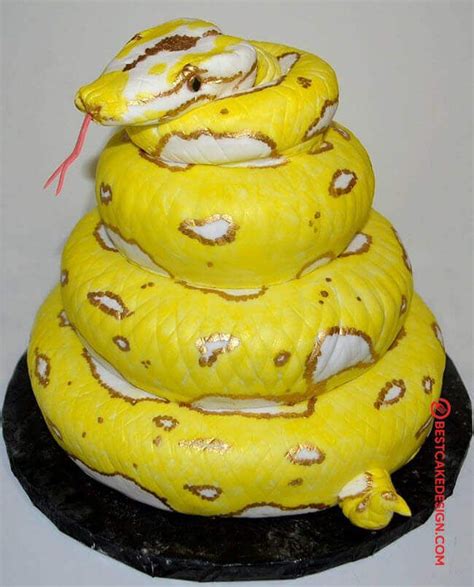 50 Snake Cake Design (Cake Idea) - March 2020 | Snake cakes, Cake design, Cake designs images