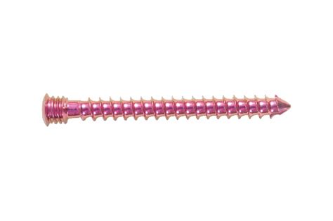 Locking Screws | Orthopaedics Implants | ORTHO MAX® | Vadodara, Gujarat ...