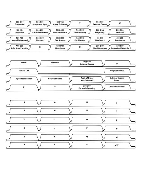 2021 ICD-10 Coding Book Tabs - Selman-Holman, A Briggs Healthcare Company