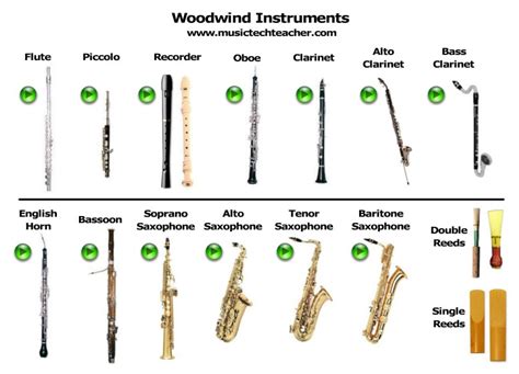 Instrument Families & Their Sounds - ELEMENTARY MUSIC 2019-2020