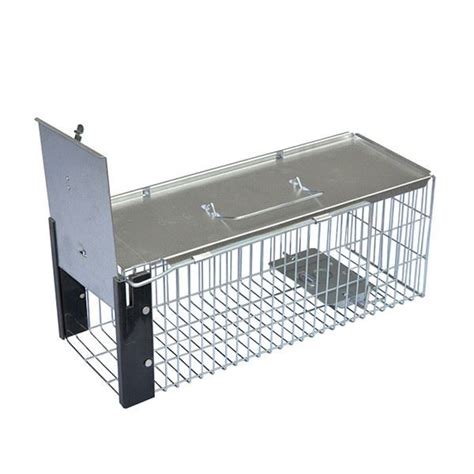 China Squirrel Live Trap Cage Manufacturers, Suppliers, Factory - Cheap ...