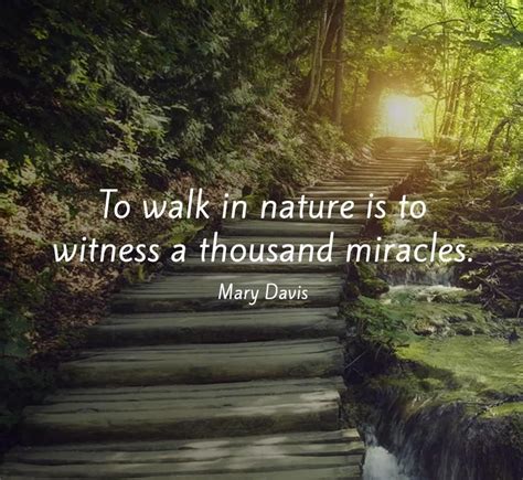 To walk in nature… Mary Davis | Love nature quotes, Nature quotes inspirational, Nature quotes