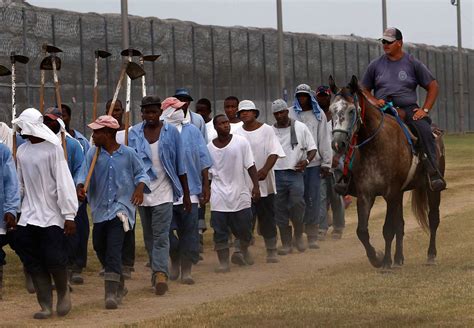 New Report Highlights Persistent Racial Disparities Among Wrongful Convictions - Innocence Project