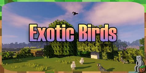 Mod : Exotic Birds [1.7.10 - 1.16.5] - Minecraft-France