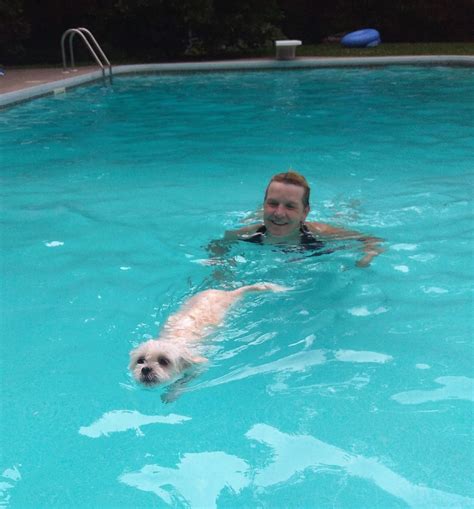 Swim Therapy – Timberlea Veterinary Clinic