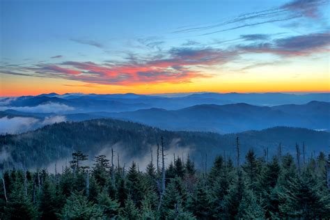 Clingman’s Dome - Mountain Field Guide