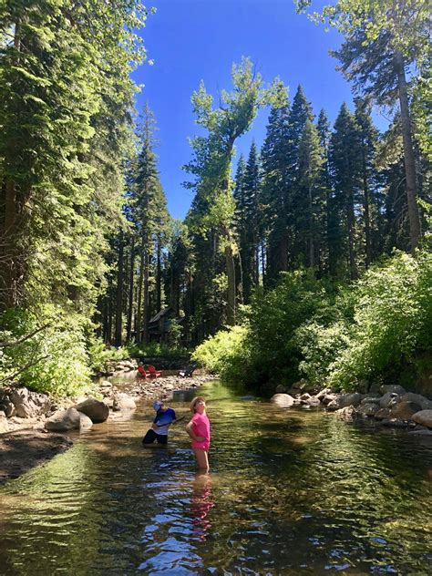 Best Hikes for Kids & Dogs at Lake Tahoe! - Girl Who Travels the World | Lake tahoe hotels, Lake ...