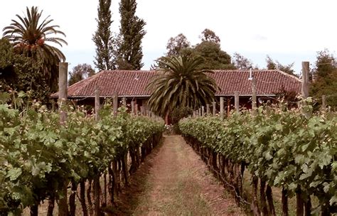 Cono Sur winery: Guide to Chilean wines and wineries