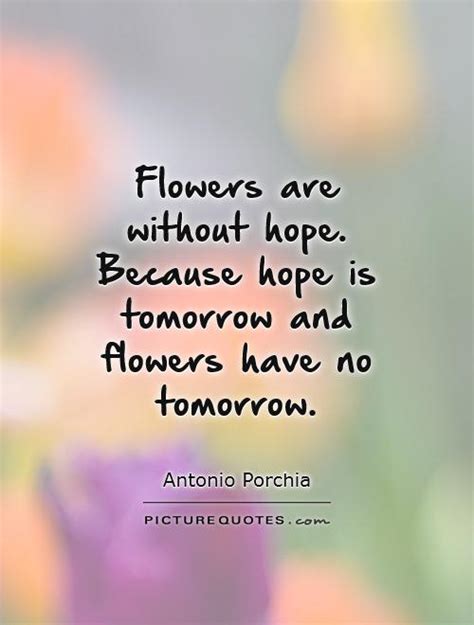 Hope Quotes For The Flowers. QuotesGram