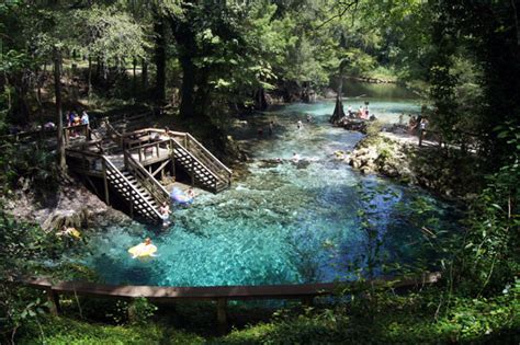 Our 19+ Favorite Freshwater Florida Springs for 2023 • Authentic Florida