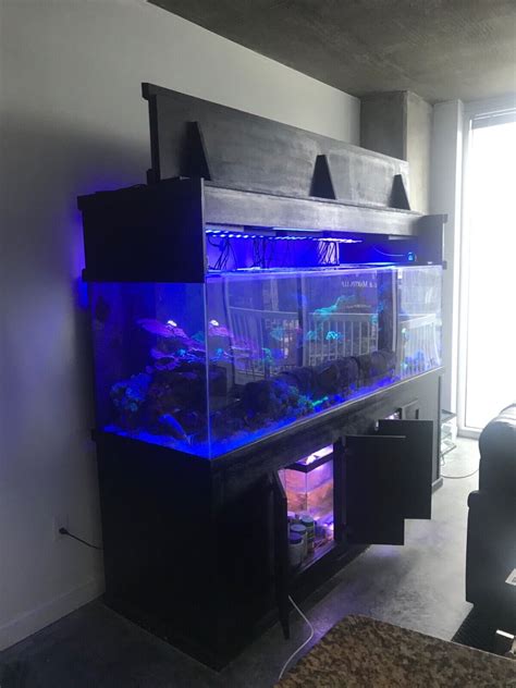 300+ Gallon Acrylic aquarium build(after order placed) standard or ...