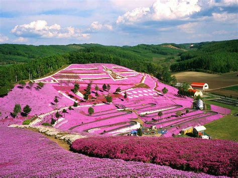 Hokkaido Prefecture, Japan | Corner Of The World