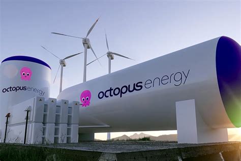 Green Hydrogen Production Permit Granted To Octopus Hydrogen - FuelCellsWorks