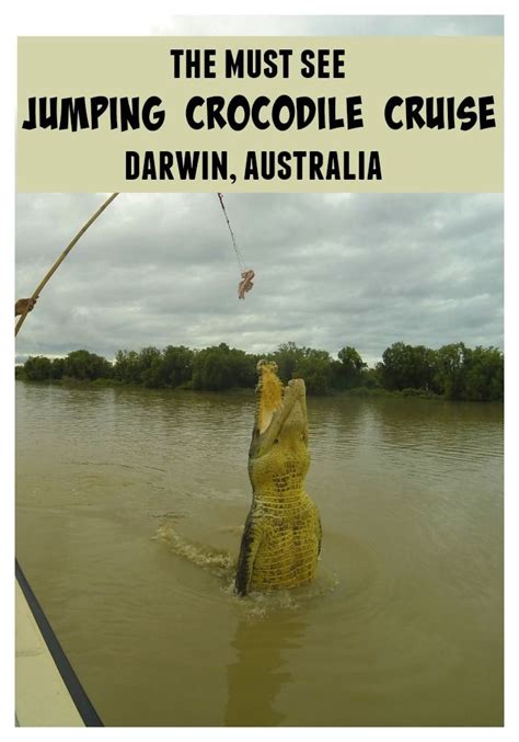 How To Take An Adelaide River Jumping Crocodile Cruise From Darwin ...