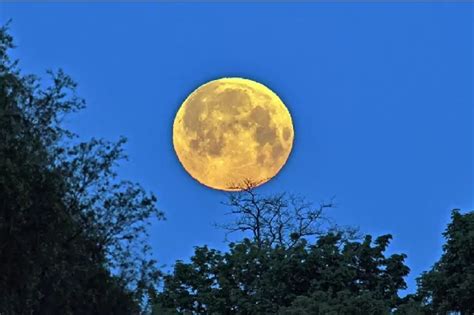 How you can see the 'Flower Moon' in Gloucestershire tonight - Gloucestershire Live