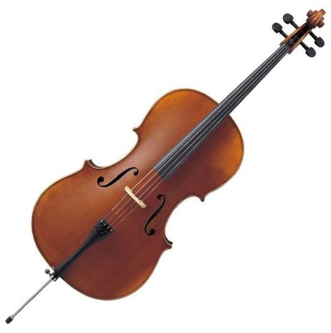 Violoncello - Obiettivo Musica - la scuola di musica che vuoi tu: a ...