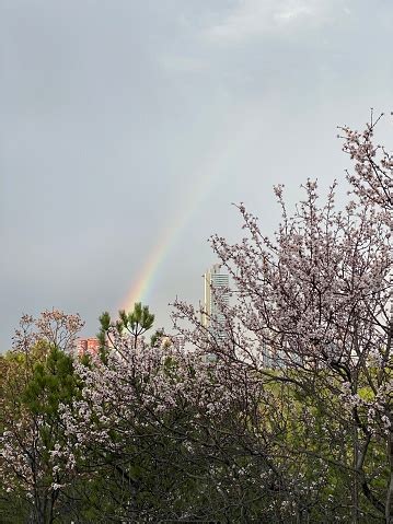 Turkey Ankara Cankaya Corona Days Of Spring Rain Weather Rainbow Stock Photo - Download Image ...