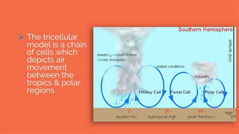 The Tricellular Model (Hadley, Ferrel & Polar Cell) - YouTube