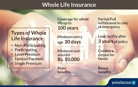 Ways To Calculate The Best Dividend Paying Whole Life Insurance Policy ...