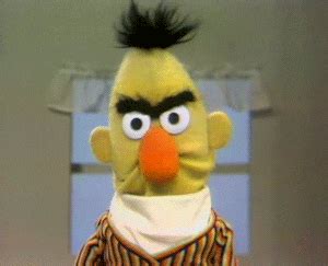 Muppet Wiki Muppetwiki GIF - Muppet wiki Muppetwiki Muppet - 发现和分享 GIF