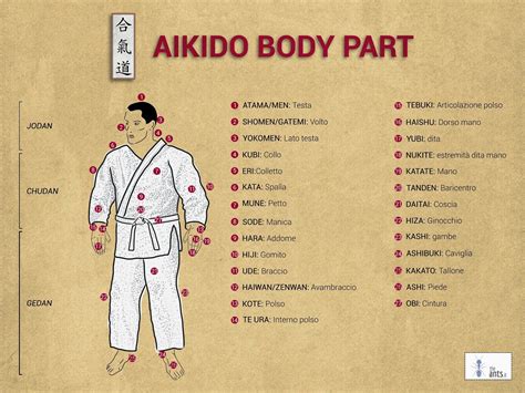 Pin on Aikido