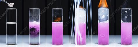 Sodium reacts with water - Stock Image - C050/4848 - Science Photo Library