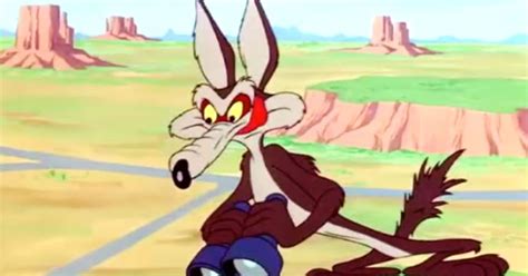 Why Wile E. Coyote Has Endured for 70 Years