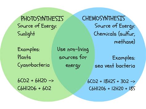 Chemosynthesis Diagram