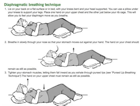 Image result for diaphragmatic breathing handout | Diaphragmatic breathing, Breathing techniques ...