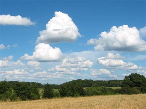 ☁ Meteo(rología) ☂ : marzo 2011