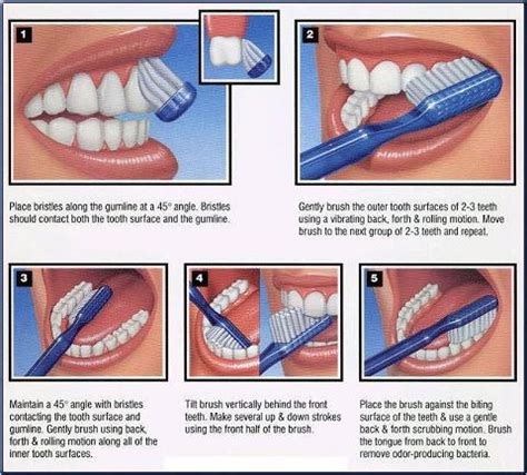 What is the proper way to brush your teeth? Tigard TenderC… | Flickr