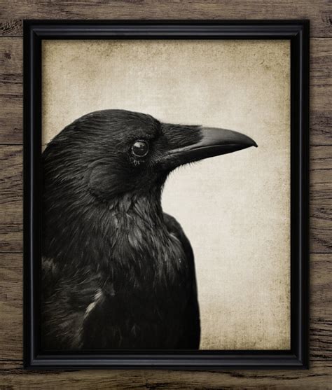 Raven Wall Art, Printable Raven Bird, Black Bird, Common Raven ...