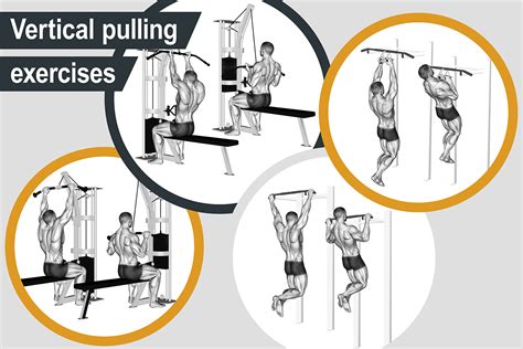 vertical pull and push exercises > OFF-60%