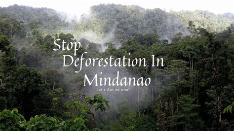 Petition · Stop Deforestation in Mindanao - Philippines · Change.org