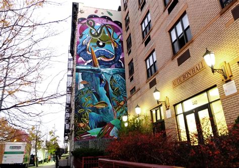 The Audubon Mural Project: Street Art in Harlem Highlighting Endangered ...