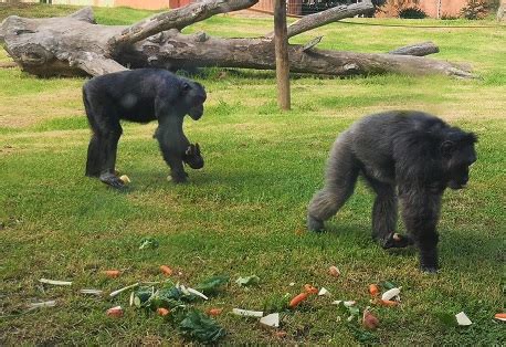 Meet Joburg Zoo’s oldest and youngest animals