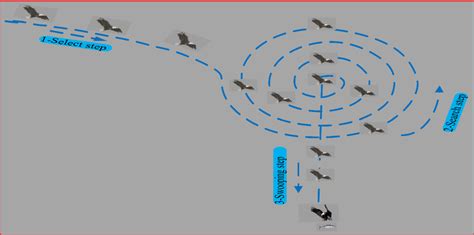 Bald eagle behavior while hunting | Download Scientific Diagram