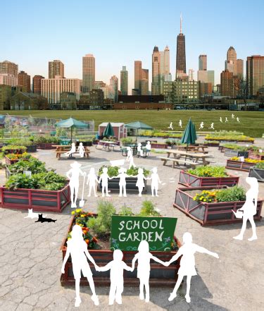 School Gardens - NEXT.cc