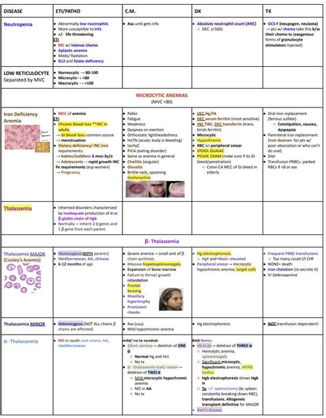 All About Anemia Chart Notes Hematology - Etsy