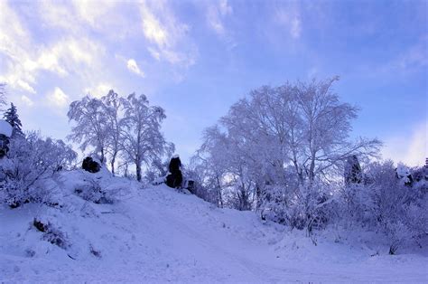 Snow Village, China, 中國雪鄉 | Wayne Li | Flickr